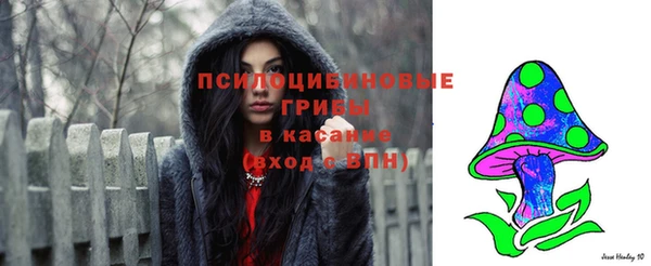 PSILOCYBIN Алзамай