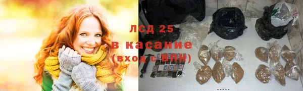 PSILOCYBIN Алзамай