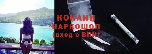PSILOCYBIN Алзамай