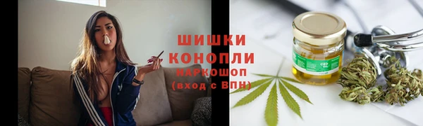 PSILOCYBIN Алзамай
