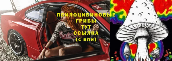 PSILOCYBIN Алзамай