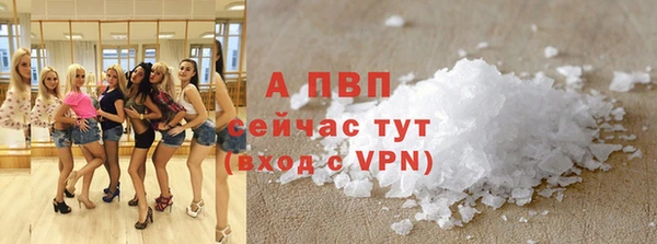 стафф Абинск